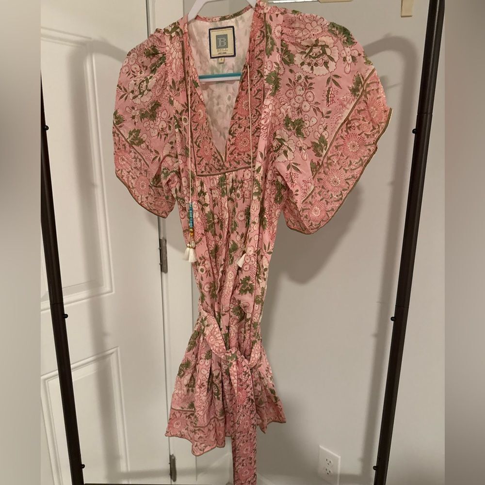 Bell by Alicia Bell Pink and Green Floral Dress